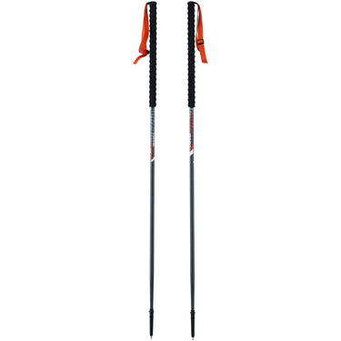 Kije VIKING Mission Skitouring