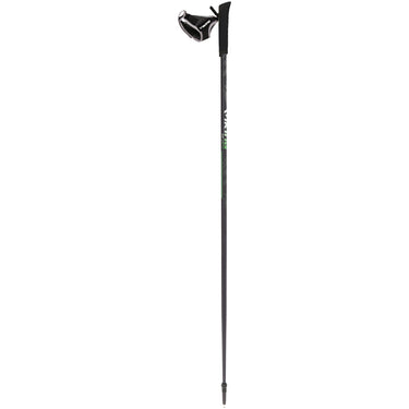 Kije VIKING Forrester Nordic Walking