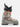 Buty narciarskie Veloce Space 120 Dual 2026 - Dalbello