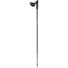Kije VIKING Forrester Nordic Walking
